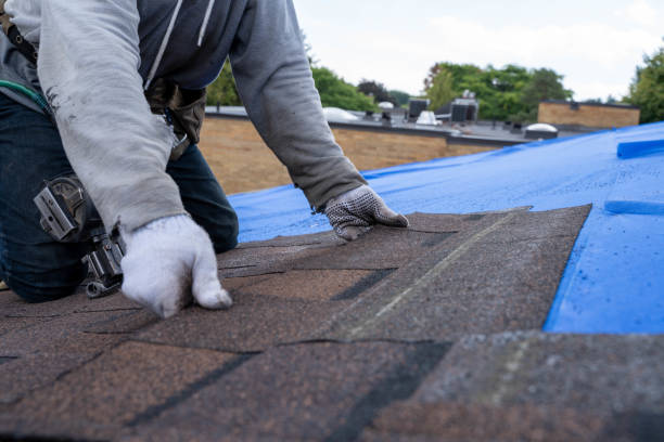 Best Roof Maintenance Services  in Robinson, IL