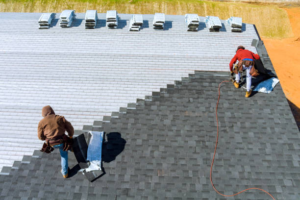 Best Metal Roofing Contractor  in Robinson, IL