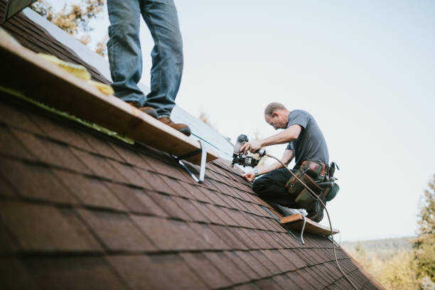 Best Roof Leak Repair  in Robinson, IL